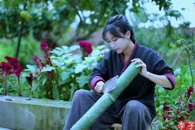 网红是怎么炼成的？图片