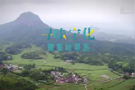 寻味宁化——客家仙草冻