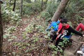 树枝变成动物，木片搭出童话房子……长沙一学校学生捡树枝给自己做儿童节礼物图片