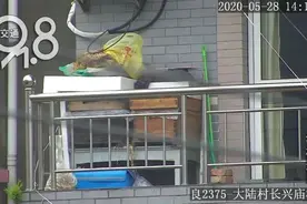 男子经过一杭州大爷家，瞬间心痒痒，忍不住每天去一趟图片