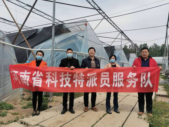 河南漯河：高校教授、博士为农产品代言，2小时“进账”上万元