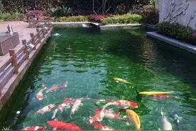 学会这招—辨水质，测试剂？不需要的图片