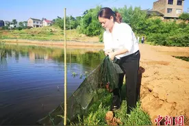 做脱贫致富“领头雁”湖南株洲“90后”女村支书乡间逐梦图片