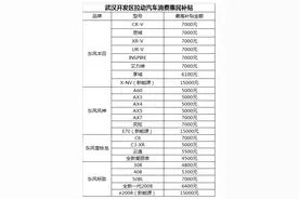 武汉升级购车补贴 买“沌口造”乘用车最高可获补贴15000元图片