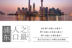 【重磅干货】浦东街镇人口之最图片