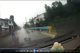 冲动是魔鬼！3只鸭子被他人碾死，结果还倒赔偿他人900元图片