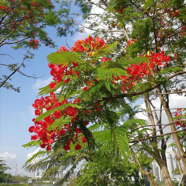 流年似水，浮生如茶，岁月如歌（诗文）
