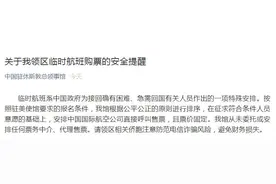 中国驻休斯敦总领事馆：临时航班票价固定 未委托或安排票务中介、代理售票图片