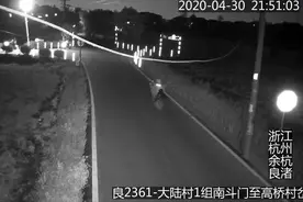 你又不是小熊维尼，偷两只装着2000多只蜜蜂的蜂箱，那肯定要抓起来的图片