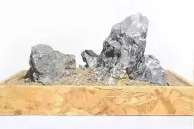 超简单的青龙石造景骨架图片