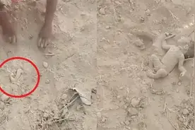 印度村民盖房闻哭声 惊见土中伸出“小短腿”刨挖竟是遭弃活埋男婴图片