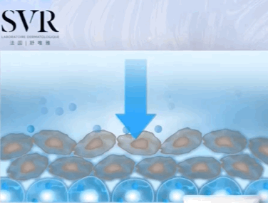 局部皮肤变粗糙摸起来像鸡皮疙瘩