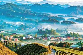 重庆南川区生态大观园人居环境美如画图片