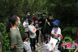 四川援鄂 援外白衣天使熊猫谷里亲子游 获终身免费参观熊猫基地护照图片