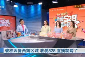 518万人围观！闪电新闻+碧桂园鲁西南区域528敢爱直播购房节圆满收官图片
