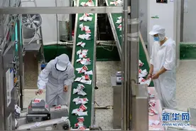 乌鲁木齐：实施“哺育工程”23万余学龄前儿童免费喝牛奶图片