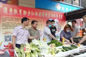 这233万元太威猛了！江南区江西镇是怎么做到的？图片