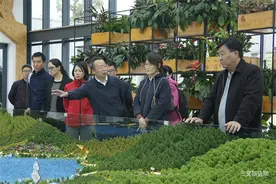 云南省文化和旅游厅厅长曾艳到红河州调研图片