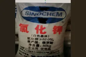 解读｜一篇搞懂钾肥进口那些事图片