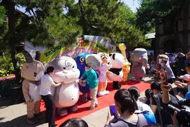高冷少女东北虎、痞子大叔金丝猴.....“北动家族”来啦图片