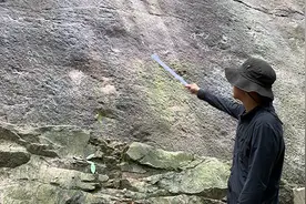 重庆城区发现侏罗纪早期大型肉食恐龙出没证据：正在“小跑”图片