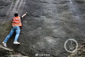 重磅！侏罗纪早期最强肉食恐龙曾出没重庆城区 很可能是中国龙图片