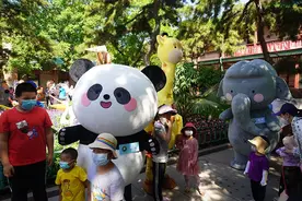 萌萌哒！10大明星动物“北动家族”组团乐翻天图片