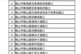 48处点位公布！开车打电话 抽烟也抓拍图片