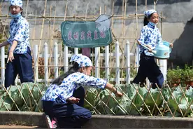 新时代劳动教育如何落地生根图片
