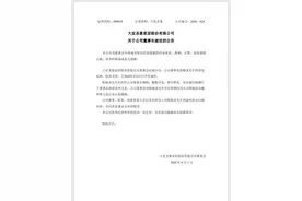 大亚圣象44岁董事长突发疾病去世 家族为股权多年“内斗”图片