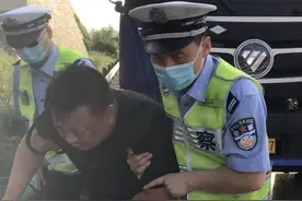 惊险！行驶途中突遭马蜂袭击，司机被蜇险些酿成大祸…图片