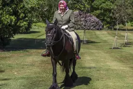 自英国封锁以来，女王首次在公共场合亮相——穿着夹克和马裤在骑马图片