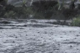 梅雨季拉开帷幕！本周义乌有几场雨？图片