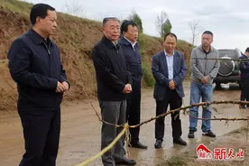 王锐在秦州区调研雹灾情况 现场指导抗灾救灾工作图片
