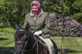 英国女王温莎城堡骑马状态很好 疫情之后首次公开露面图片
