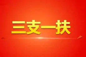 山东发布2020年“三支一扶”计划，部分岗位招募专科毕业生图片