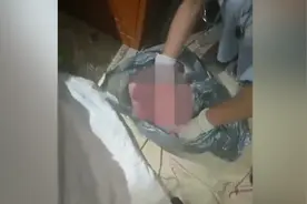 女子独自产子大出血去医院求助，医护塑料袋里找到新生儿视频封面