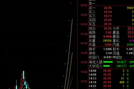 九连板爱司凯：“创业板首单借壳”交易有“流产”风险图片