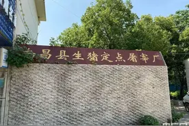 “带头违法”惹众怒！国营屠宰场无证屠宰长达4年图片