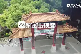 南京的夏天，绣球花C位出道视频封面