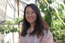 陕西大合锦蔺晓侠：“陕西凡是种樱桃的地方都有我的用户”，她是怎么做到的？图片