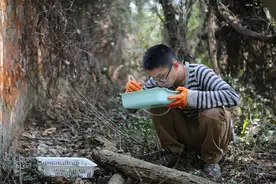 这个“都市寻虫”四人组，想要在大城市找小虫子图片