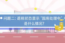 个税APP提示退税“国库处理”……原来是这么回事！视频封面