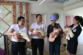 爱心企业用爱浇灌四胞胎健康成长图片