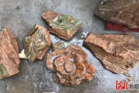 河北临城发现普利寺大殿旧址基础图片