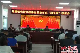 西平县师灵镇农村环境综合整治村庄“回头看”推进会召开图片