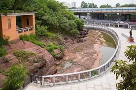 国宝级遗址全开放！广州七星岗古海岸遗址科学公园建成开园图片