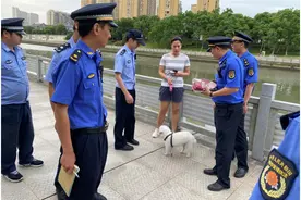 这些不文明养犬行为将被处罚！《宁波市养犬管理条例》本月起正式实施图片