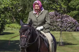 英国女王骑马照曝光 系数月来首次户外露面图片