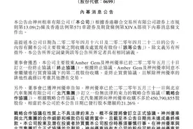 北汽集团拟接手神州租车，合作细节和条款仍在磋商当中图片